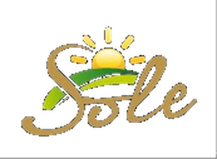 Sole Food